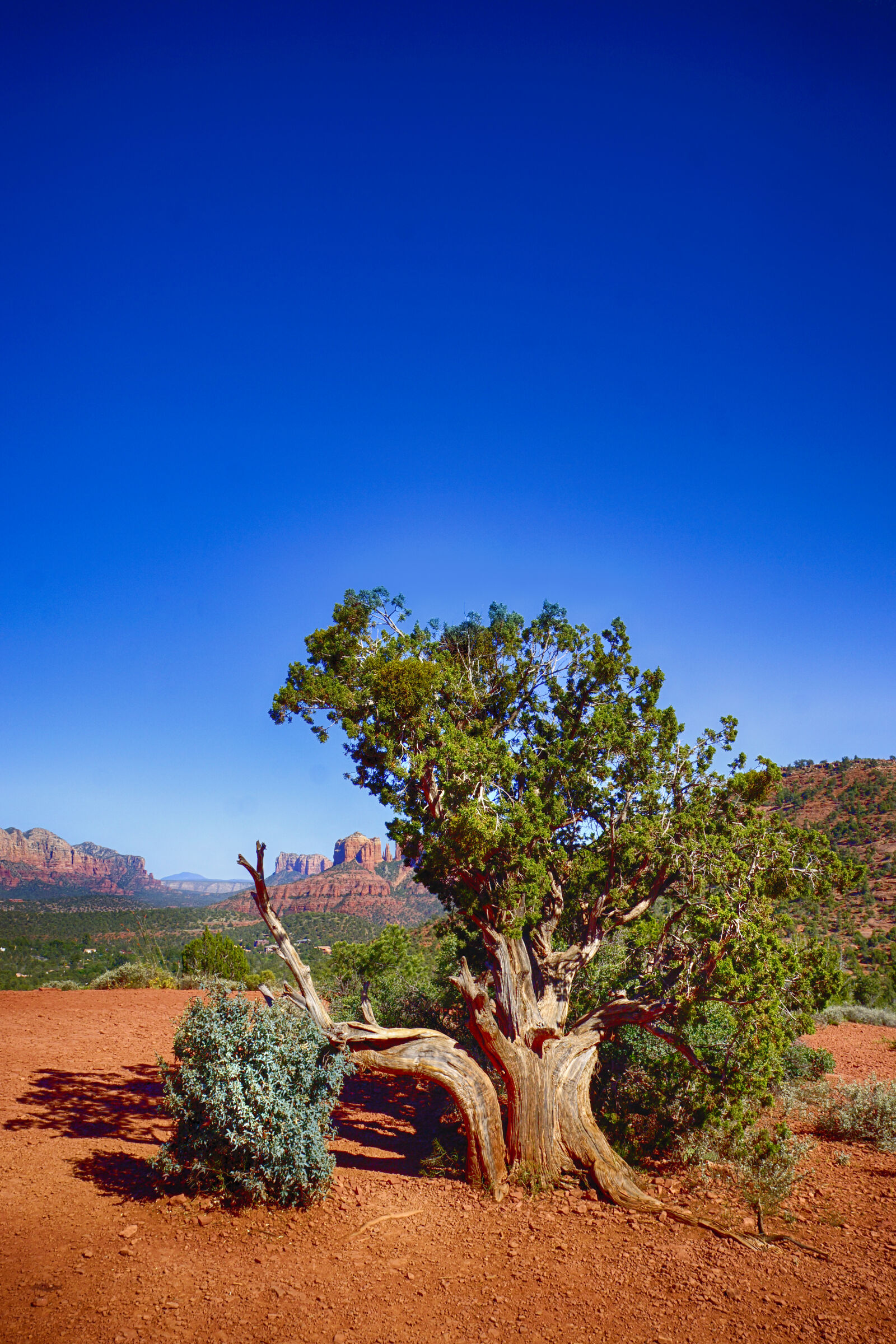 Sony DT 16-50mm F2.8 SSM sample photo. Daylight, desert, environment, landscape photography