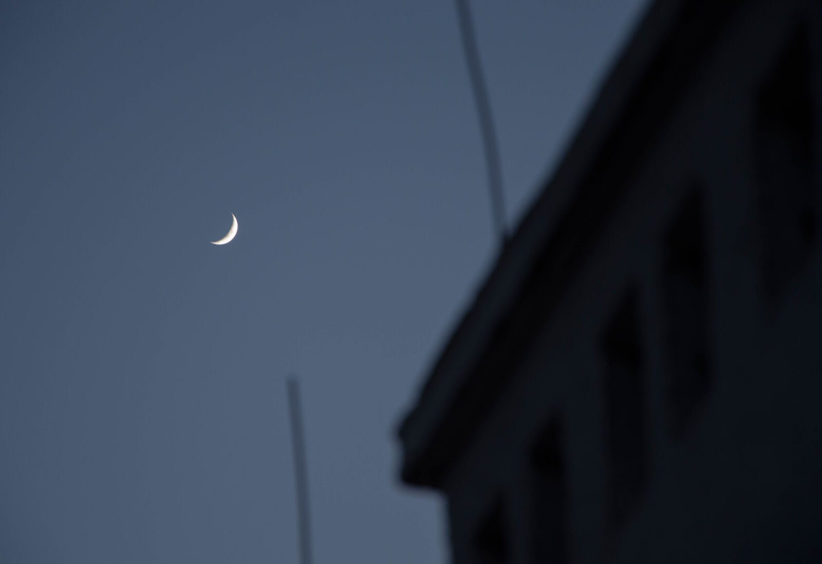 Nikon D3200 sample photo