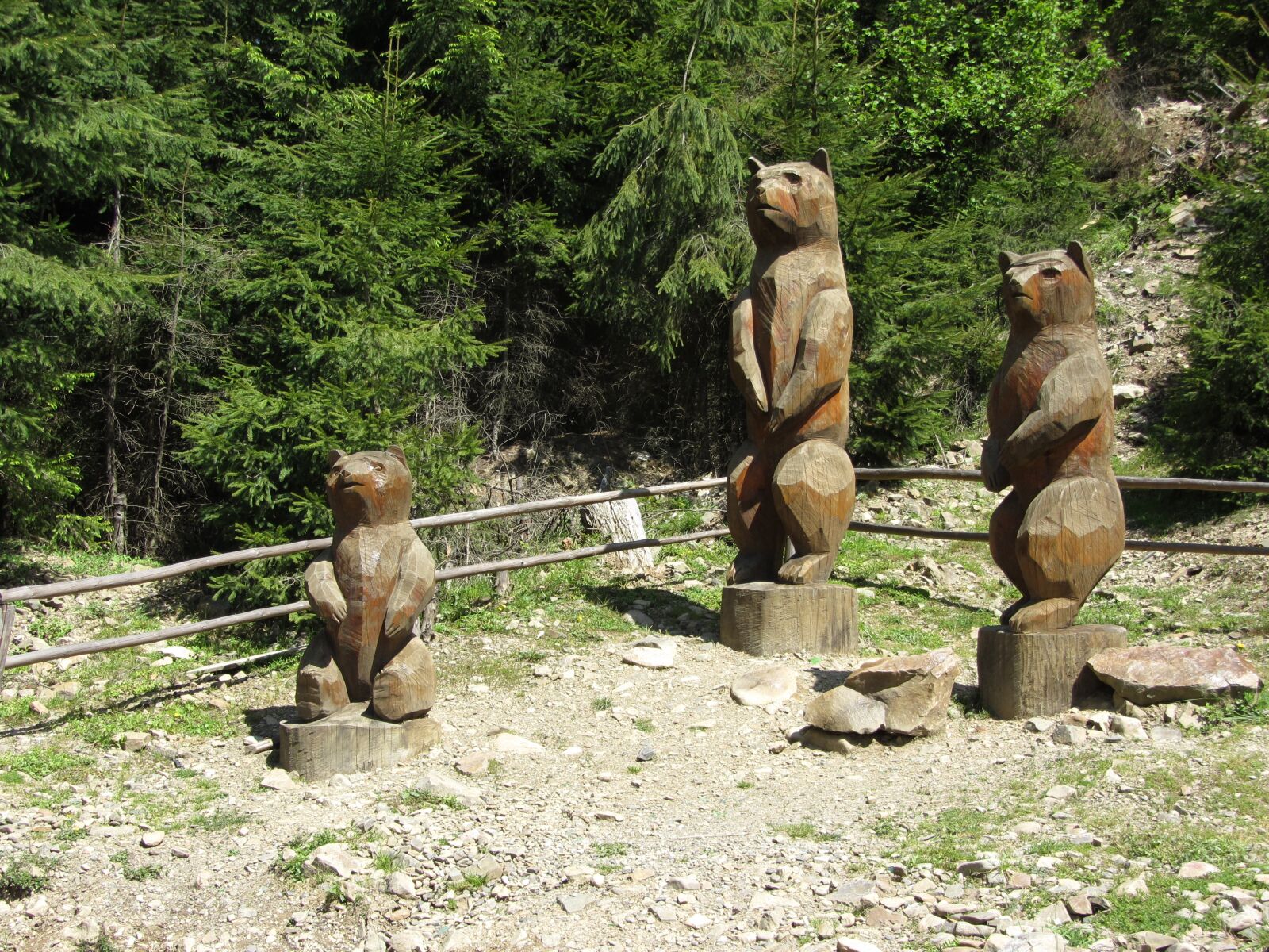 Canon PowerShot SX220 HS sample photo. Reserve, bears, transcarpathia photography