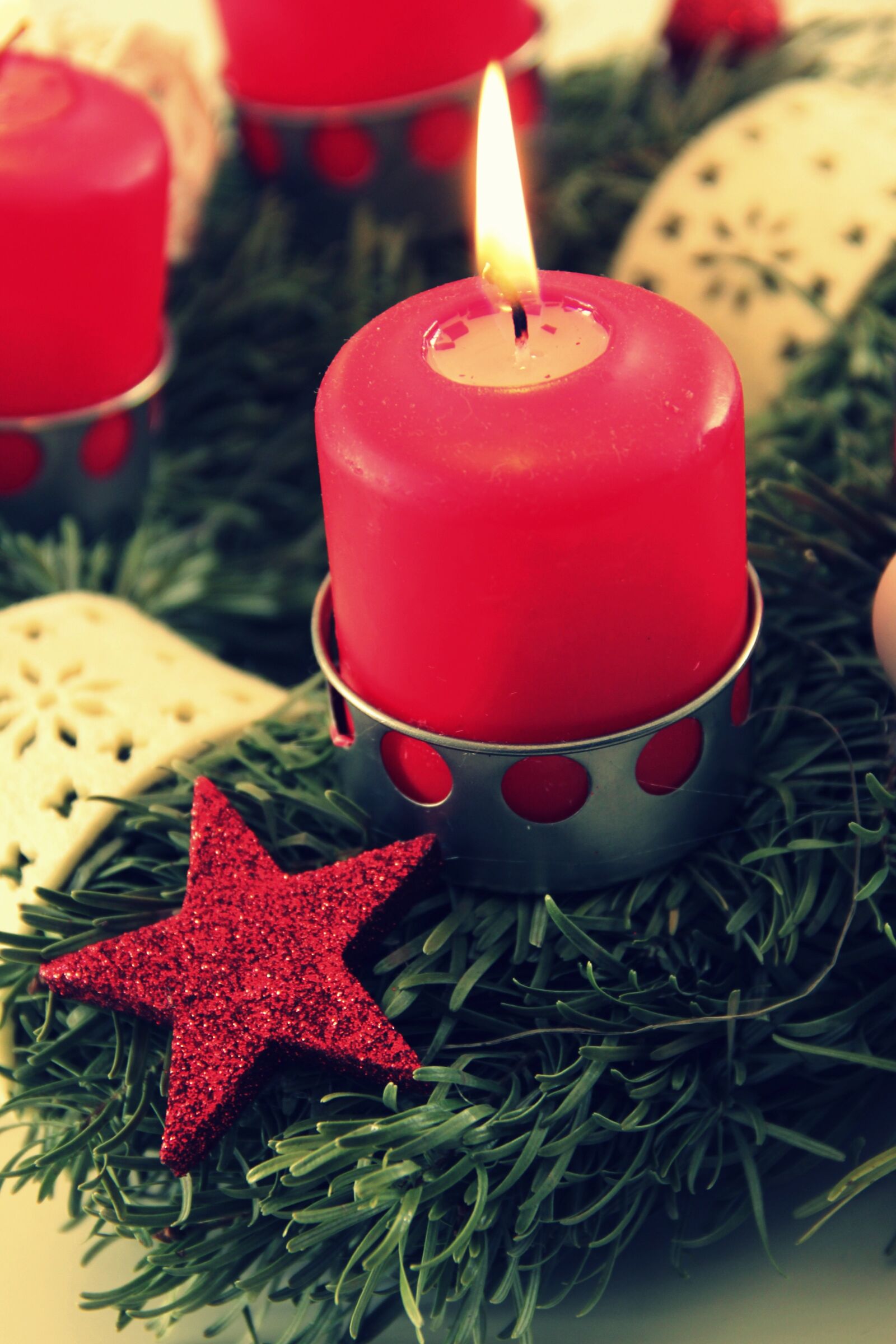 Canon EOS 550D (EOS Rebel T2i / EOS Kiss X4) sample photo. Decoration, christmas, xmas photography
