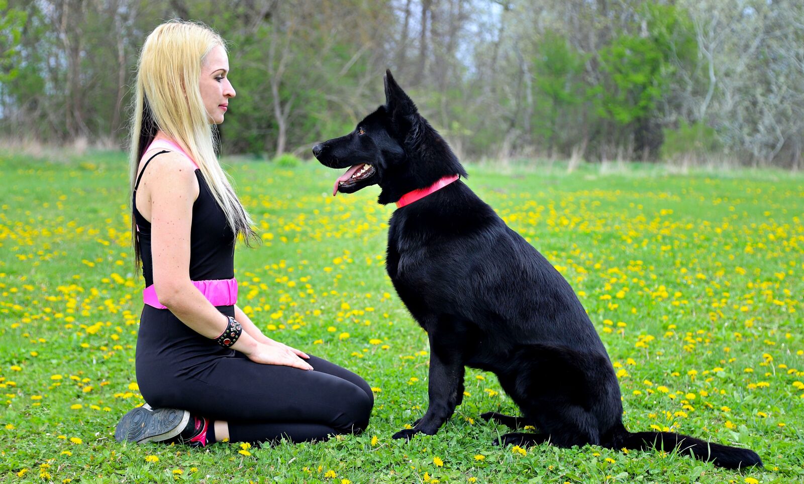Canon EOS 6D Mark II sample photo. Black dog, german shepherd photography