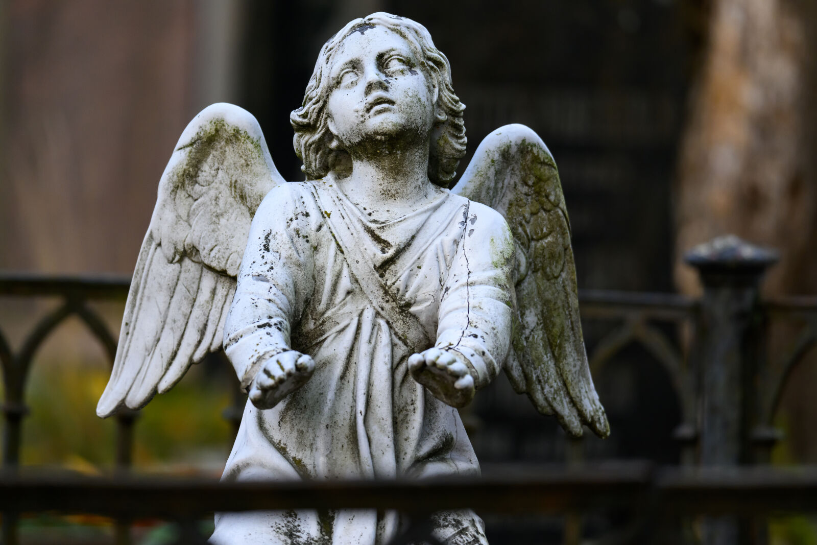 Nikon Z9 sample photo. Statue of the graveyard photography