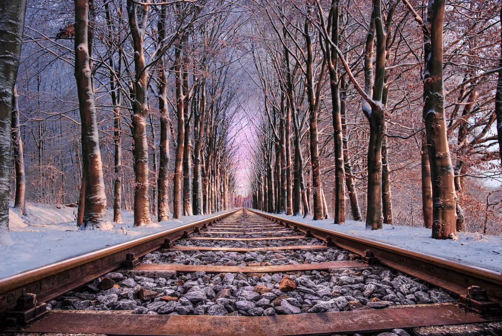Nikon D80 sample photo. Rail, road, tree photography