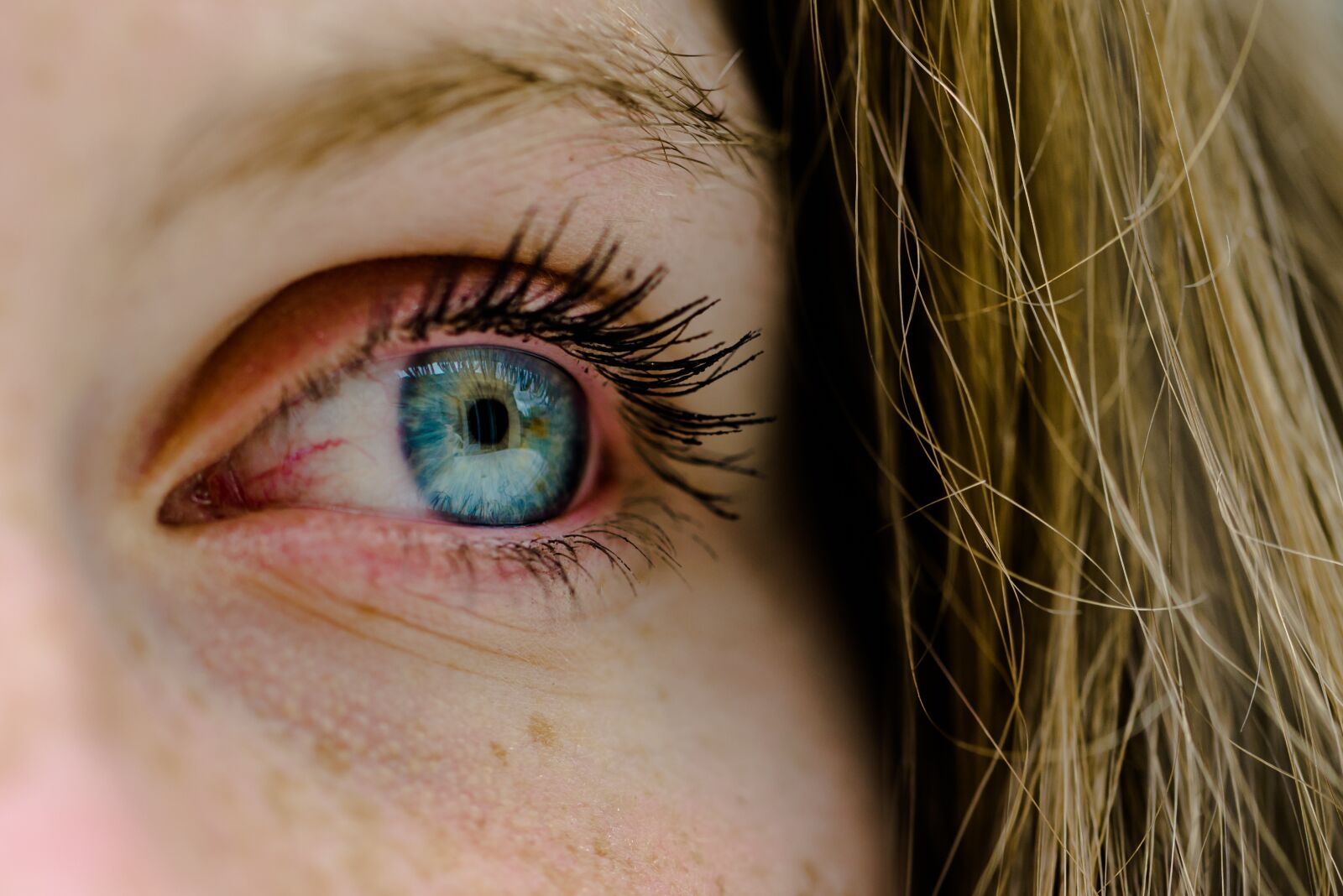 Nikon D600 sample photo. Iris, eye, look photography