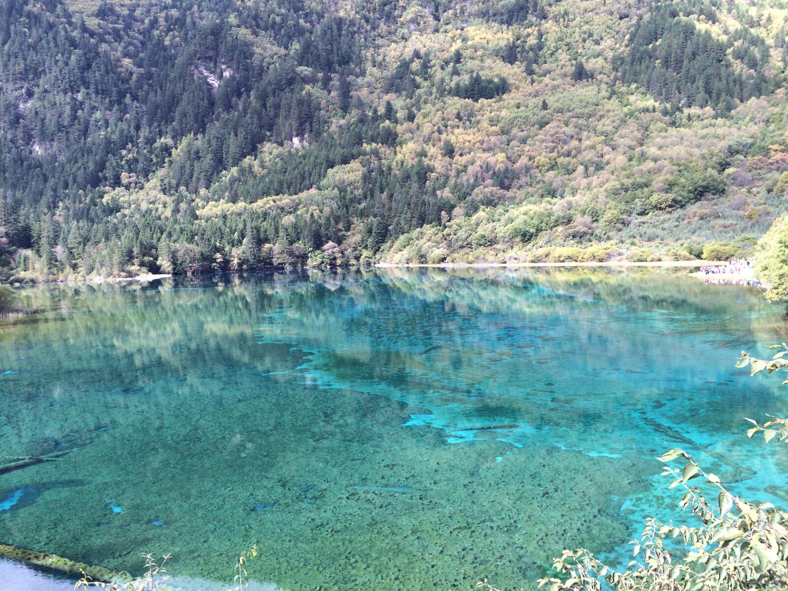 iPhone 5s back camera 4.15mm f/2.2 sample photo. 九寨沟, 水, 风景 photography