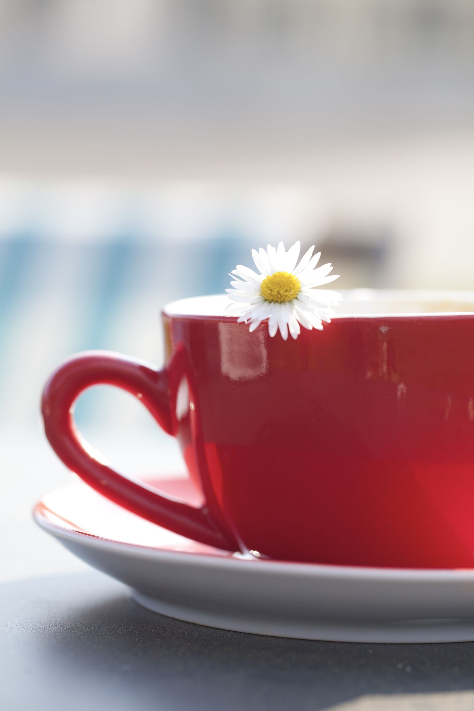Canon EOS 5D Mark II sample photo. Cup, tee, margarite photography