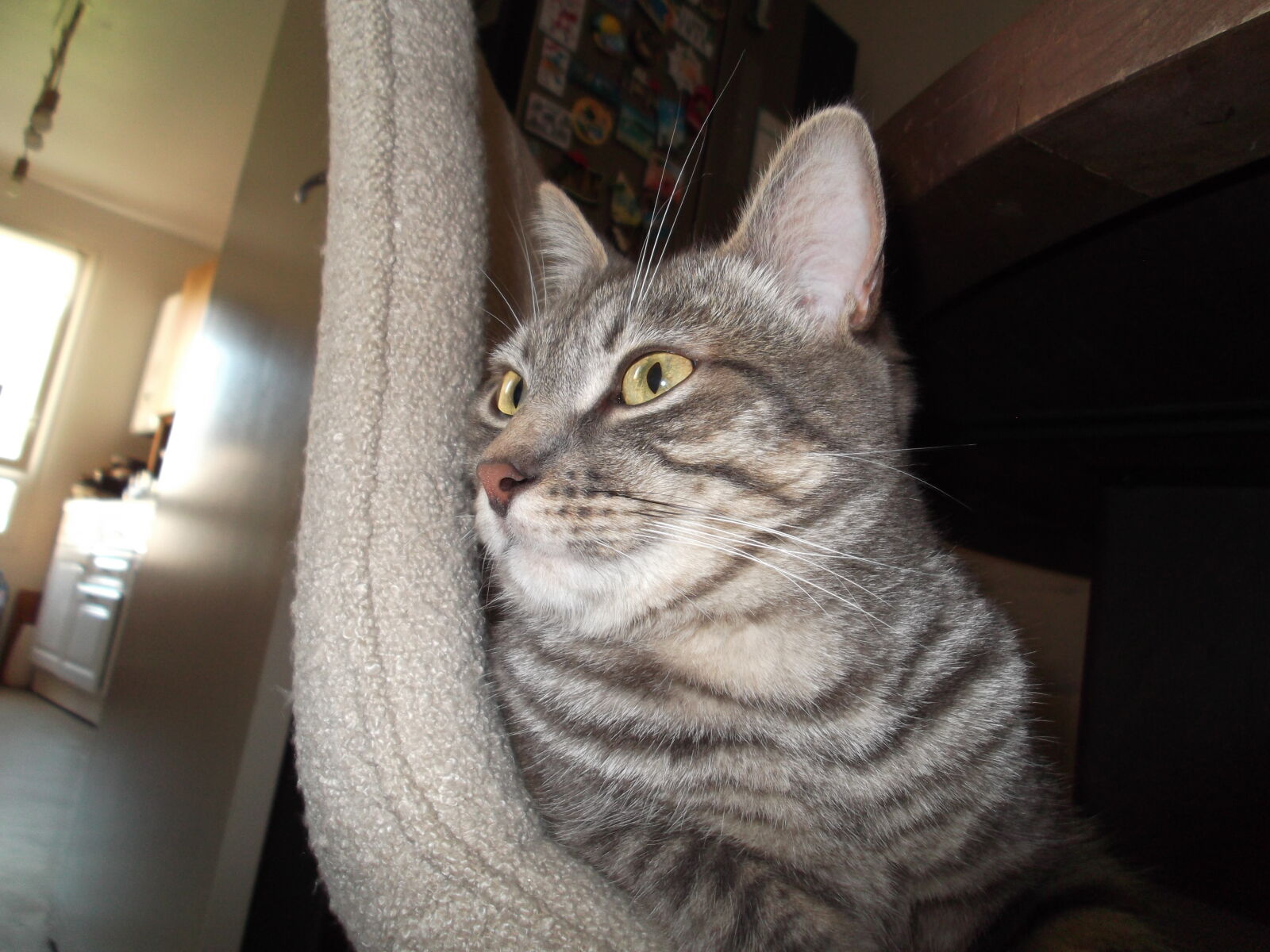 Fujifilm FinePix JX310 sample photo