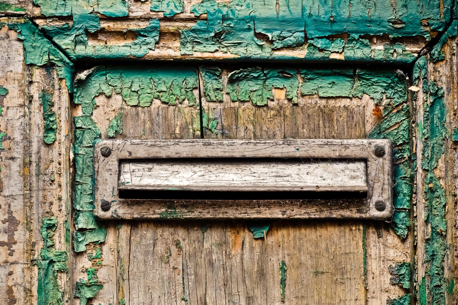 Olympus OM-D E-M10 sample photo. Door, flake, old photography