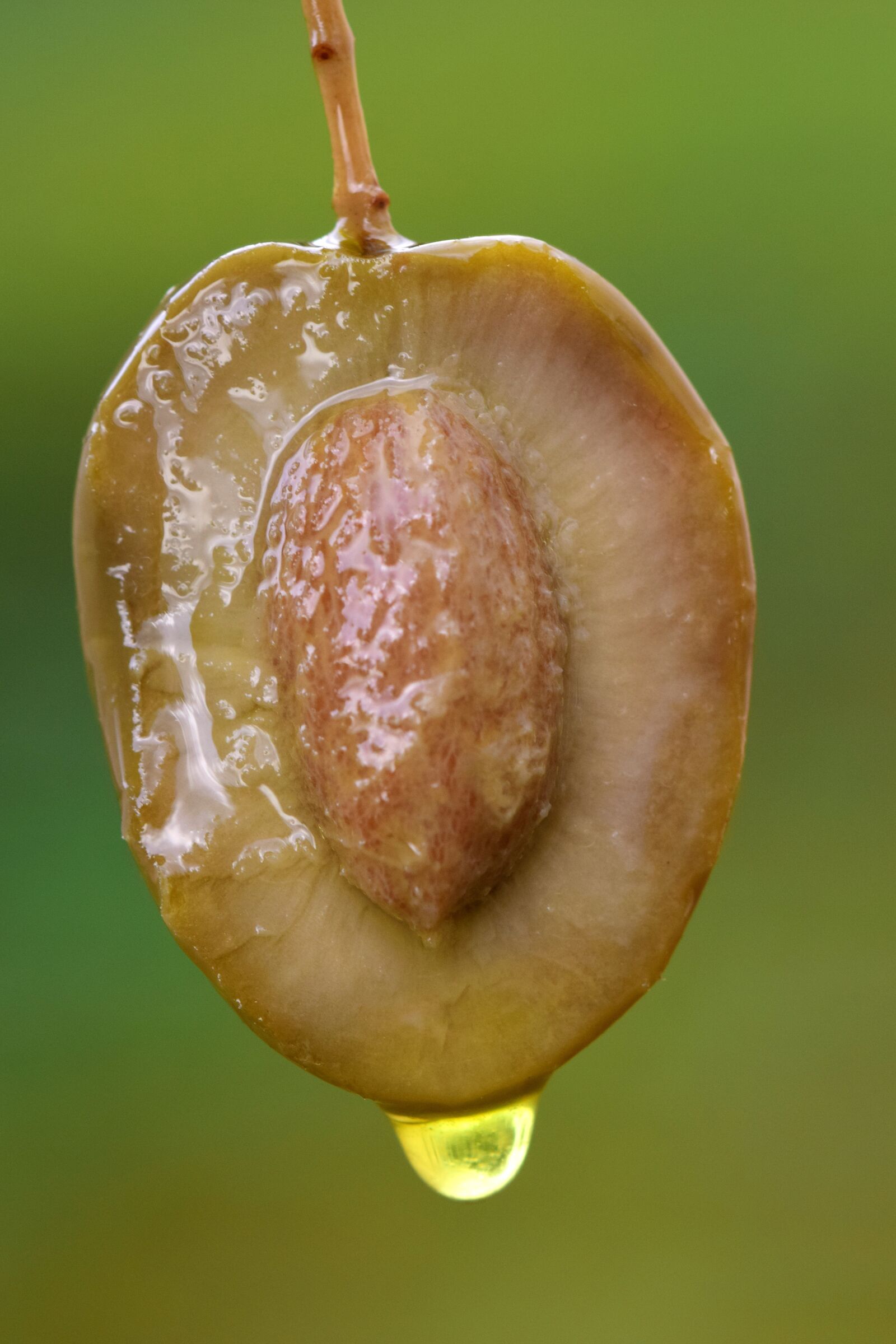 Nikon D3300 sample photo. Olive, olive oil, green photography