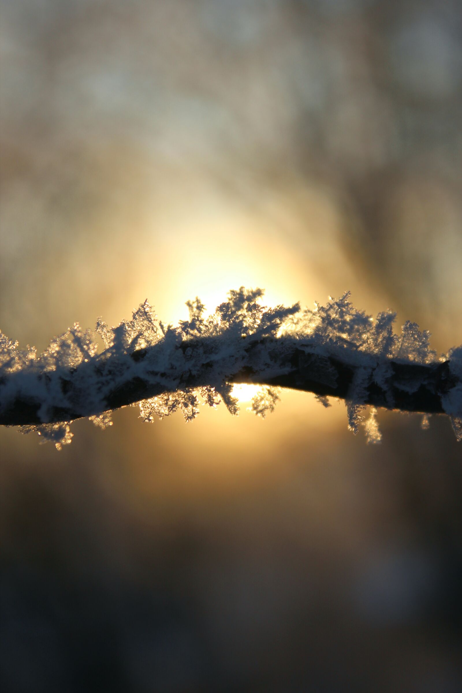 Canon EOS 600D (Rebel EOS T3i / EOS Kiss X5) sample photo. Winter, ice, snow photography