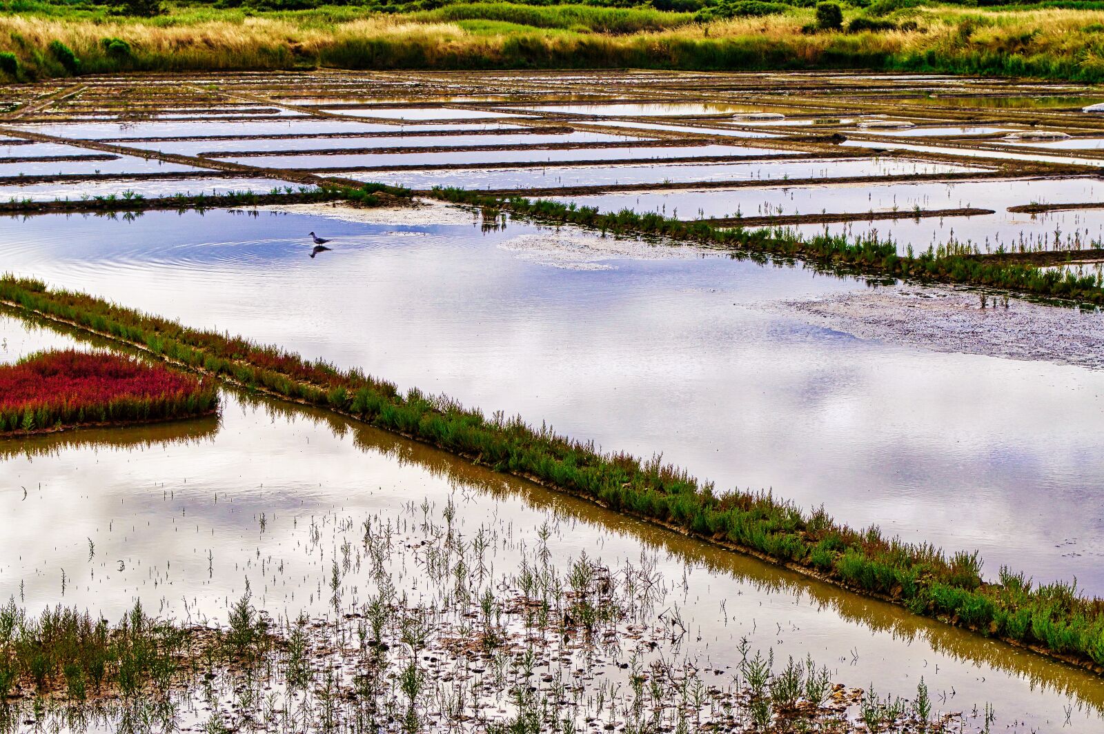 Nikon D3200 sample photo. Salt marshes, gu rande photography