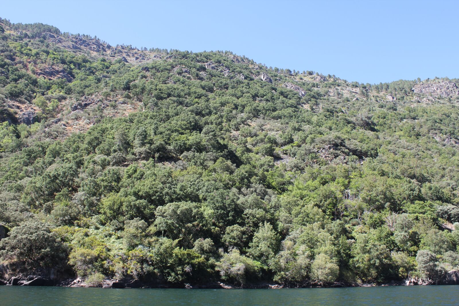 Canon EF-S 18-55mm F3.5-5.6 IS sample photo. Canones, del, rio, sil photography