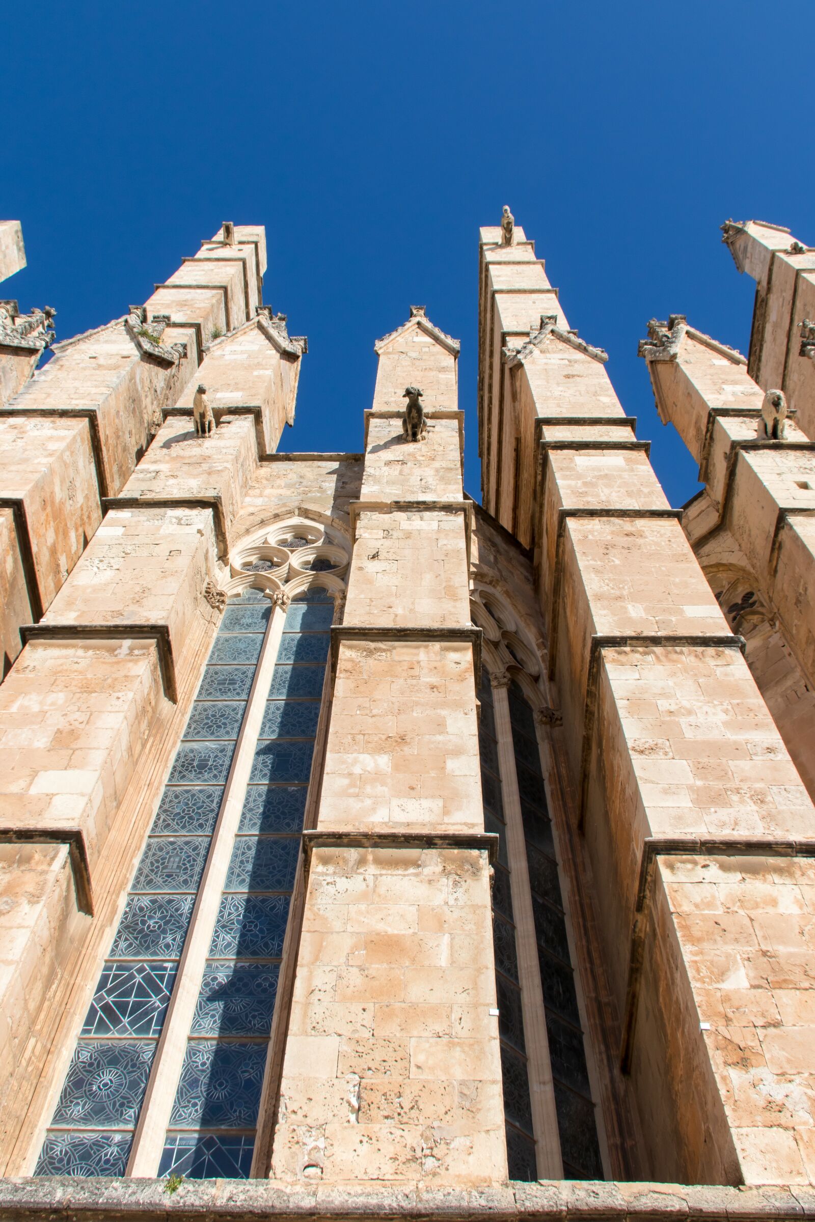 Canon EOS 80D sample photo. Cathedral, la seu, mallorca photography