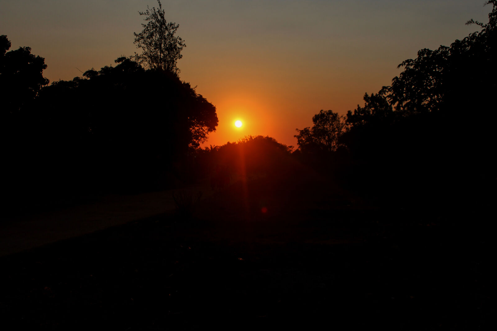 Canon EOS 1300D (EOS Rebel T6 / EOS Kiss X80) sample photo. Early, morning, shoot photography