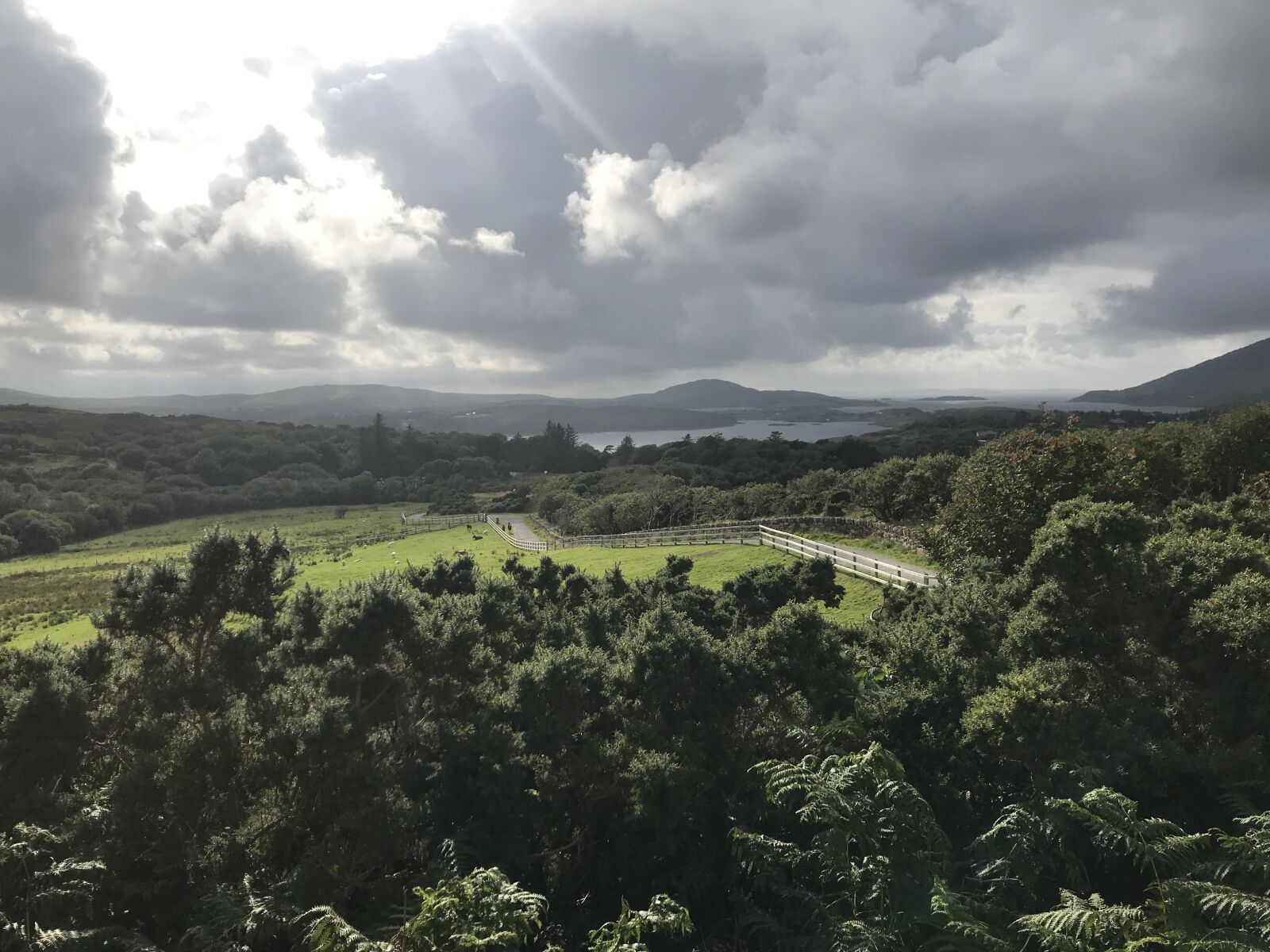 iPhone 7 back camera 3.99mm f/1.8 sample photo. Landscape, ireland, green photography