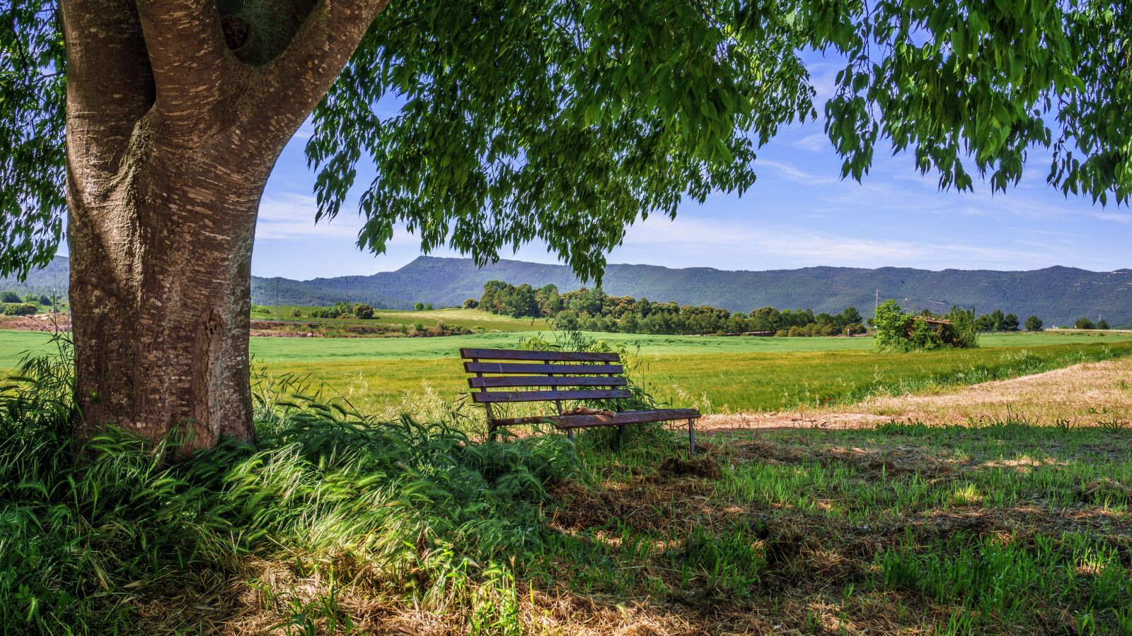 Sony a6000 sample photo. Rural area, bank, landscape photography