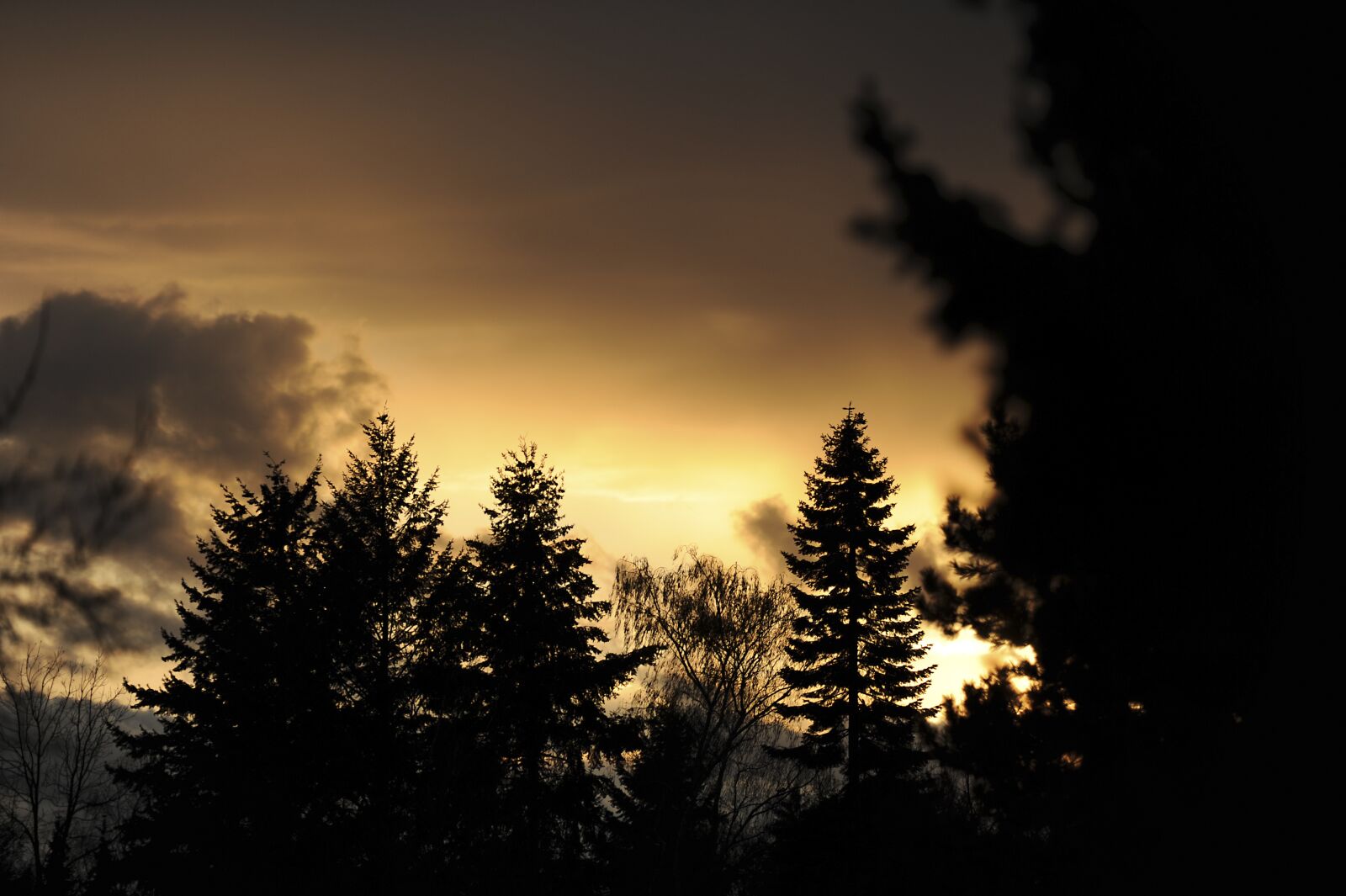 Nikon D700 sample photo. Abendstimmung, evening, sunset photography