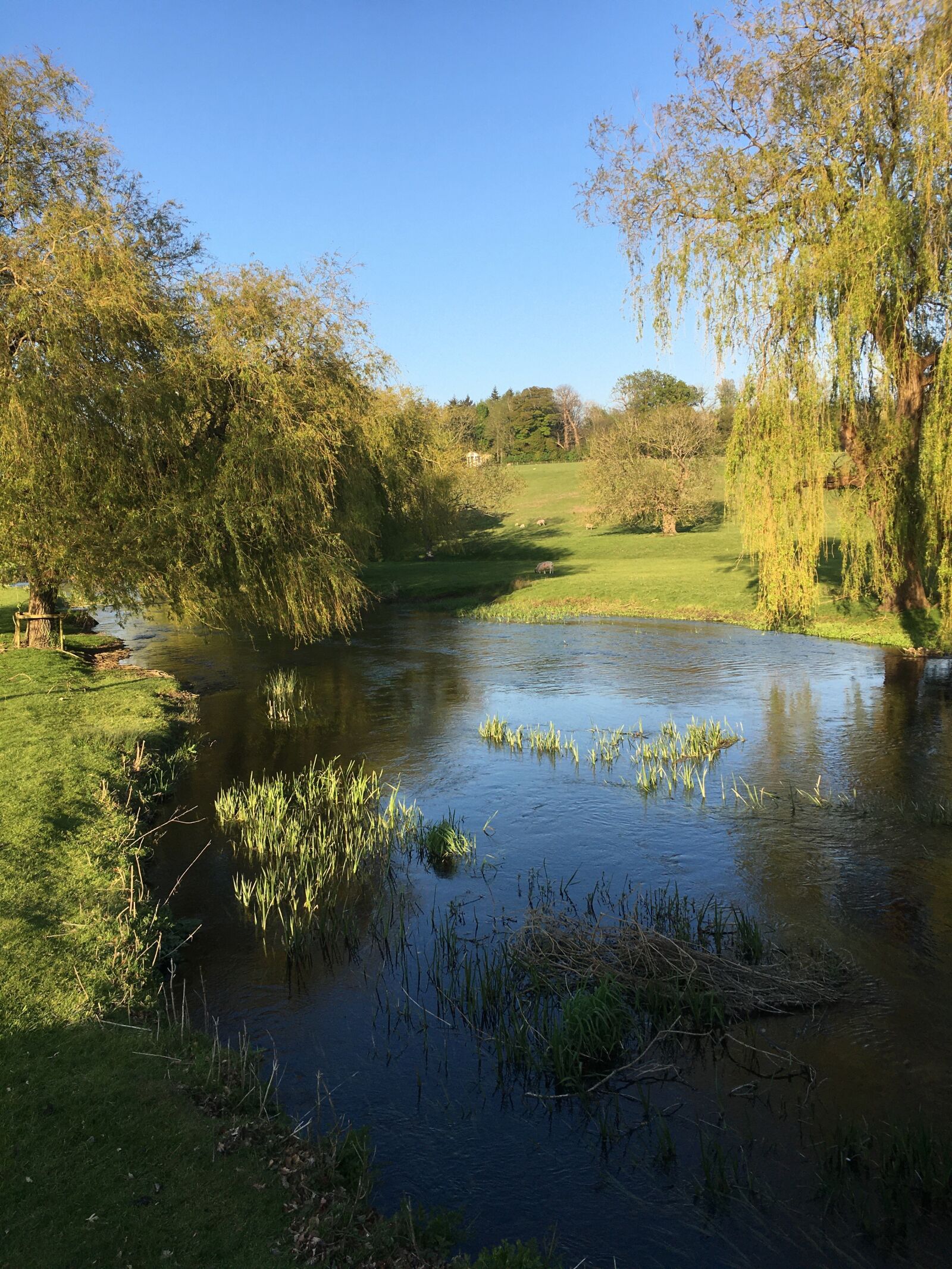 Apple iPhone 6s sample photo. Kent, river stour, river photography