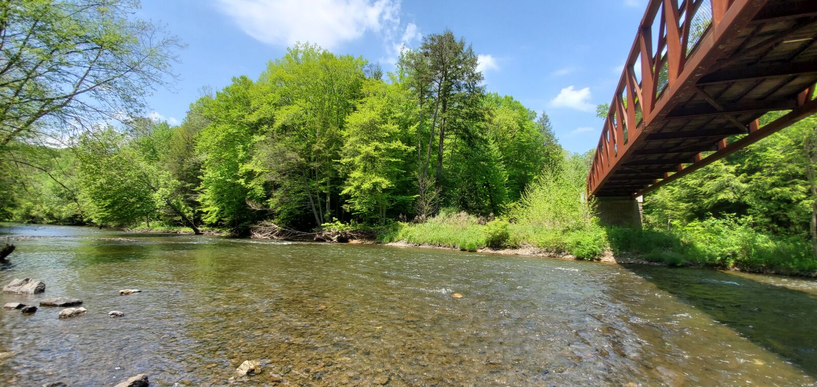 Samsung Galaxy S10 sample photo. Bridge, creek, trees photography