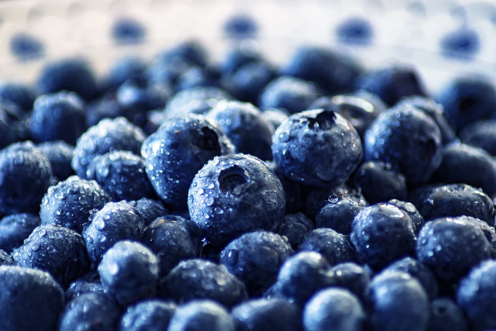 Canon EOS 750D (EOS Rebel T6i / EOS Kiss X8i) sample photo. Blueberry, black berry, moll photography