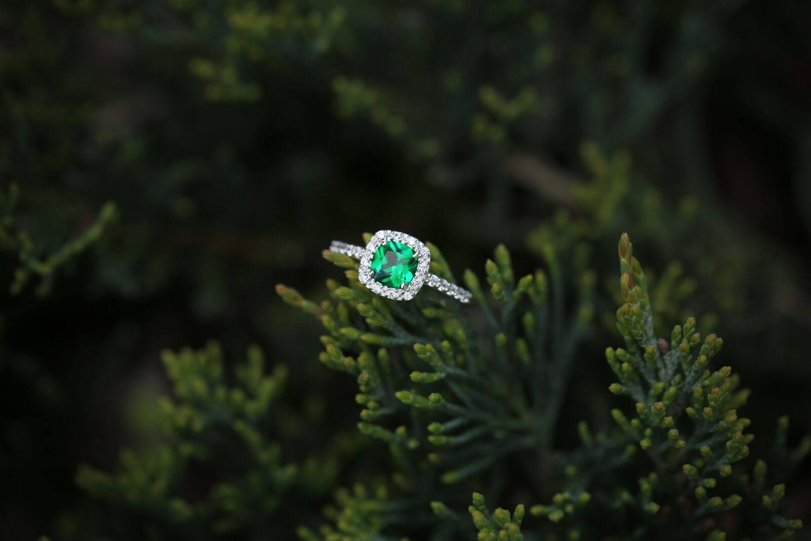 Canon EF 100mm F2.8L Macro IS USM sample photo. Jewelry, ring, jewellery photography