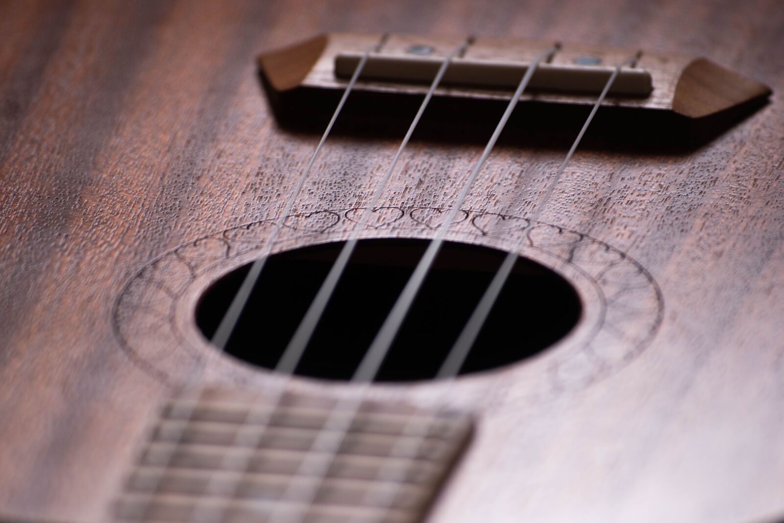 Nikon D3500 sample photo. Ukulele, music, love photography