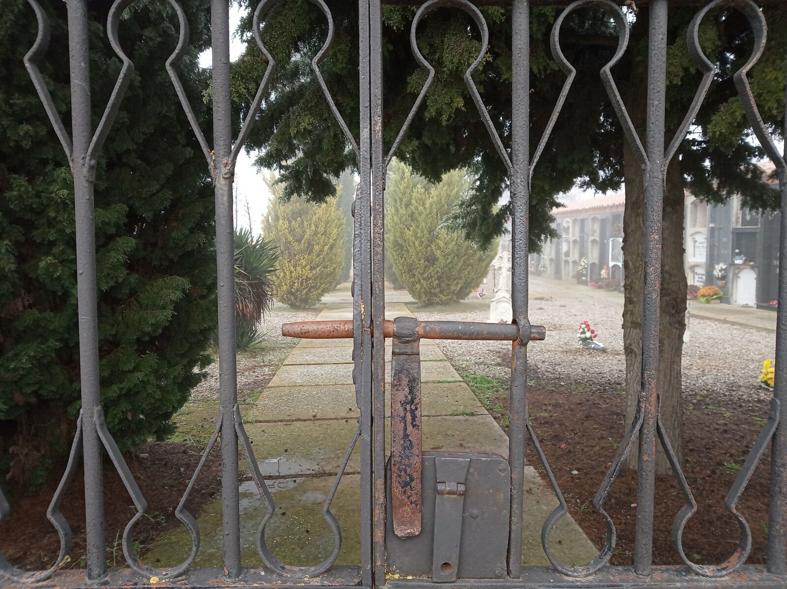 Xiaomi Redmi 6 sample photo. Cemetery, door, iron photography