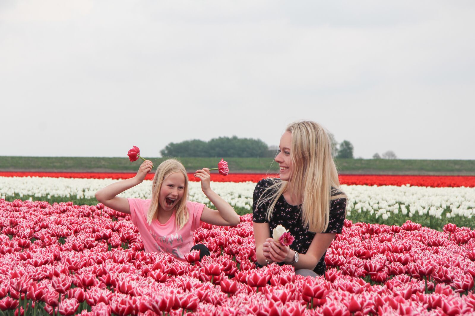 Canon EF-S 17-85mm F4-5.6 IS USM sample photo. Spring, dutch spring, tulips photography