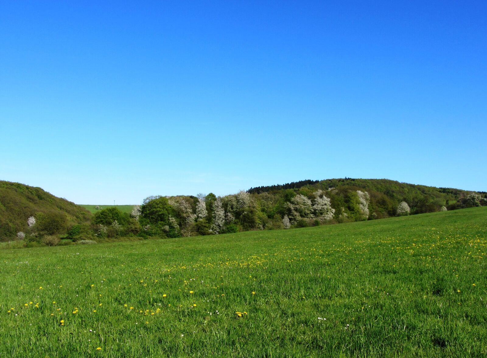 Canon PowerShot SX230 HS sample photo. Landscape, nature, meadow photography