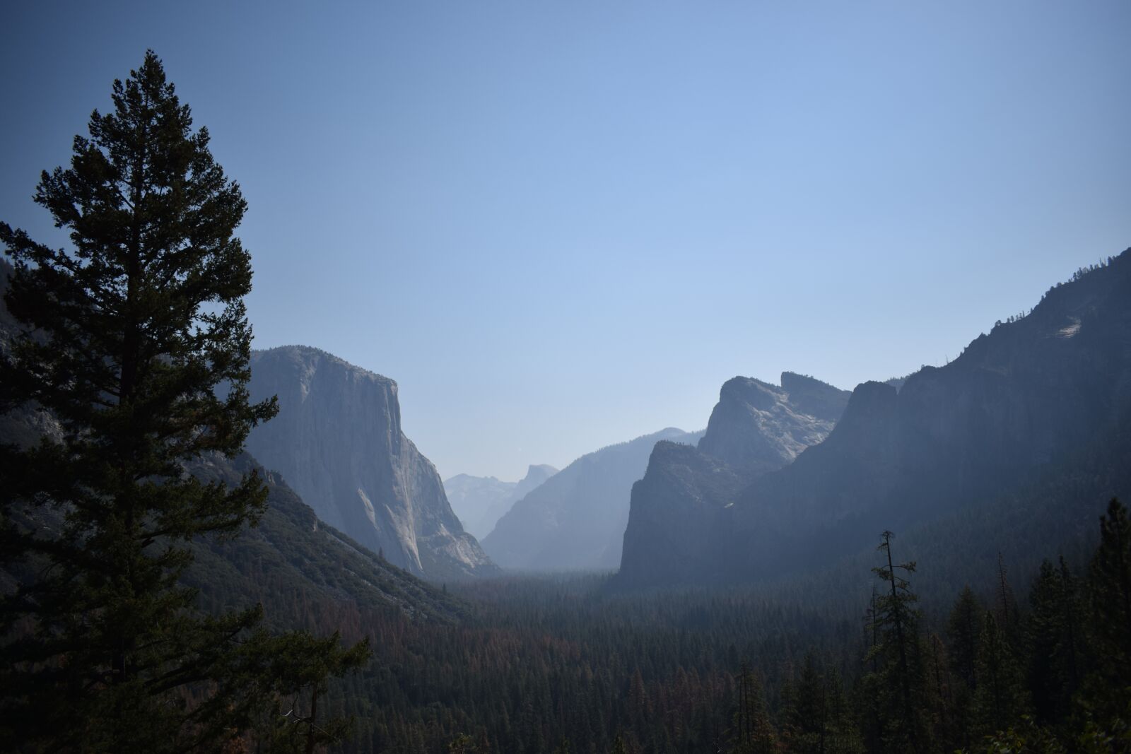 Nikon D3300 sample photo. Yosemite national park, nature photography