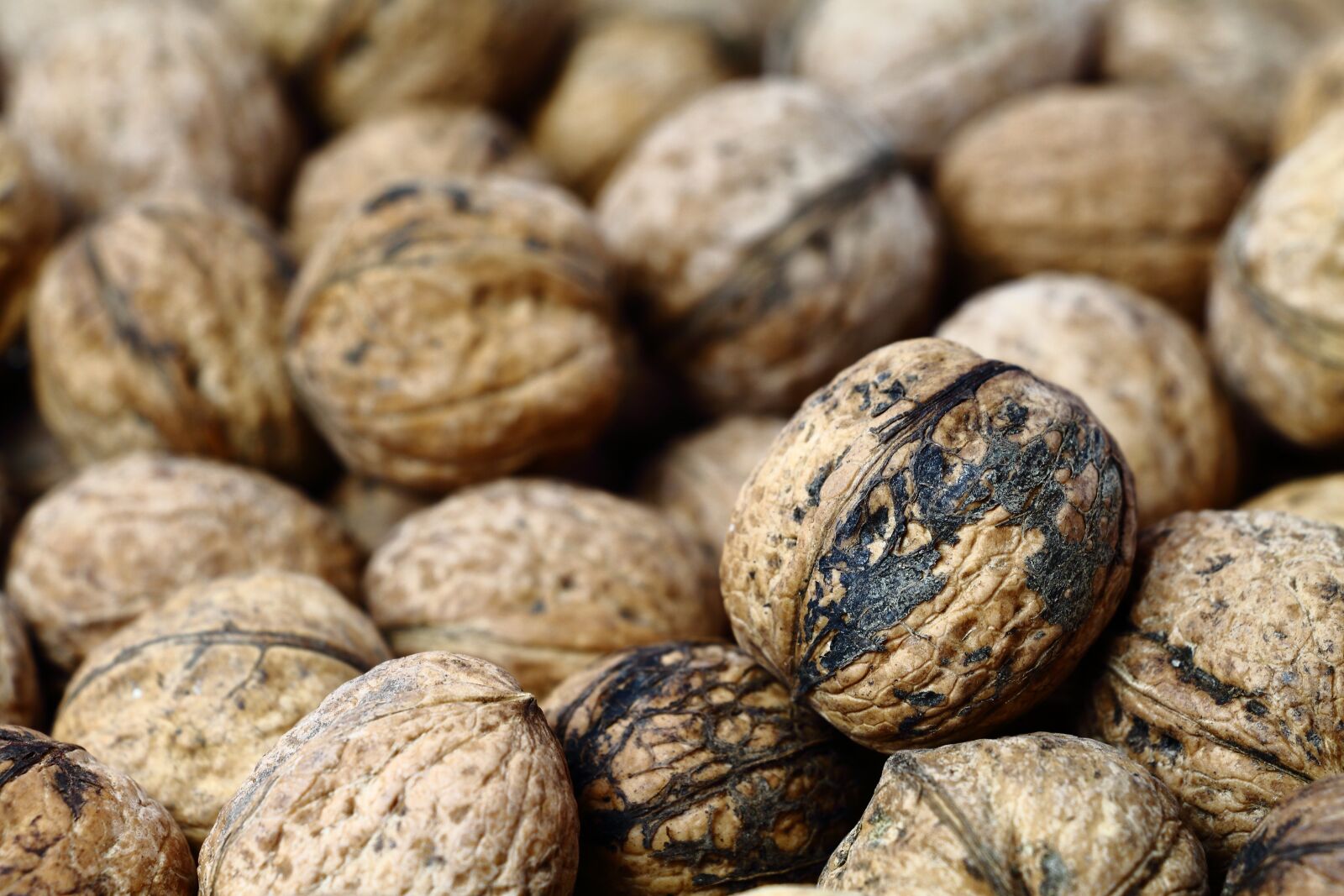 Canon EOS 700D (EOS Rebel T5i / EOS Kiss X7i) sample photo. Walnut, walnuts, nuts photography