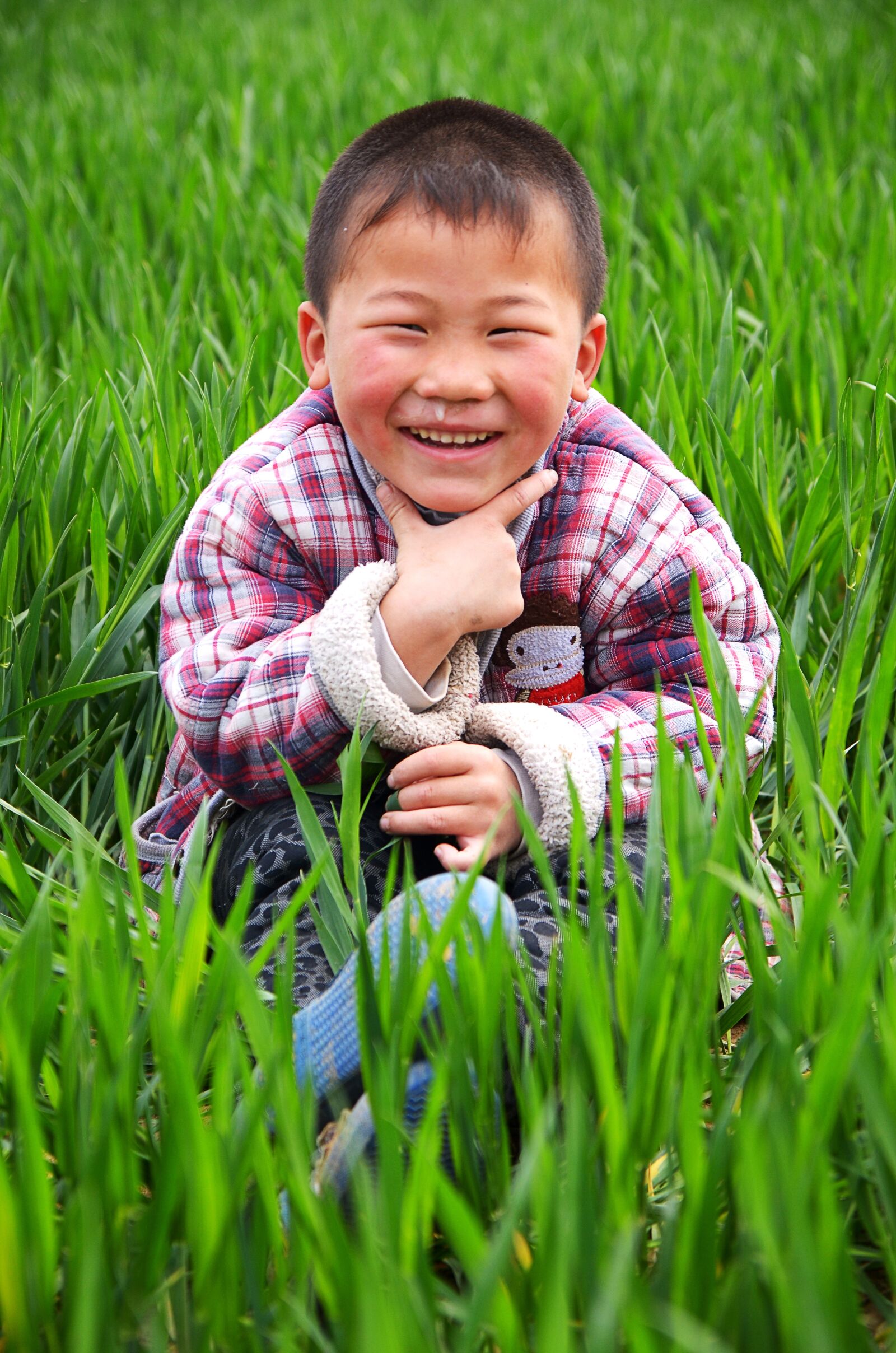 Nikon D7000 sample photo. Portrait, child, in wheat photography