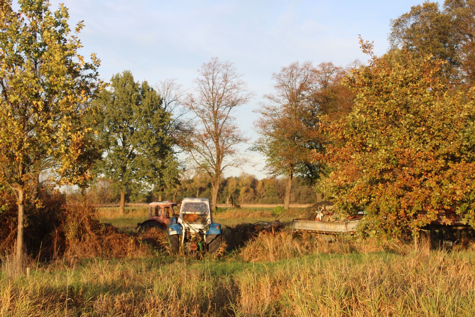 Canon EOS 2000D (EOS Rebel T7 / EOS Kiss X90 / EOS 1500D) sample photo. Herbst, traktor, machine photography