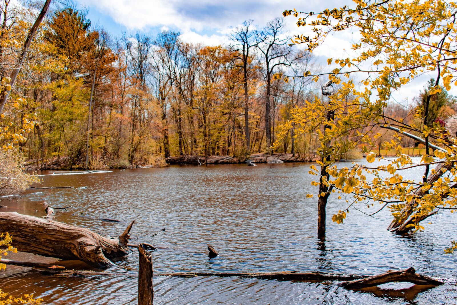 Nikon D5600 sample photo. Lake, outside, nature photography