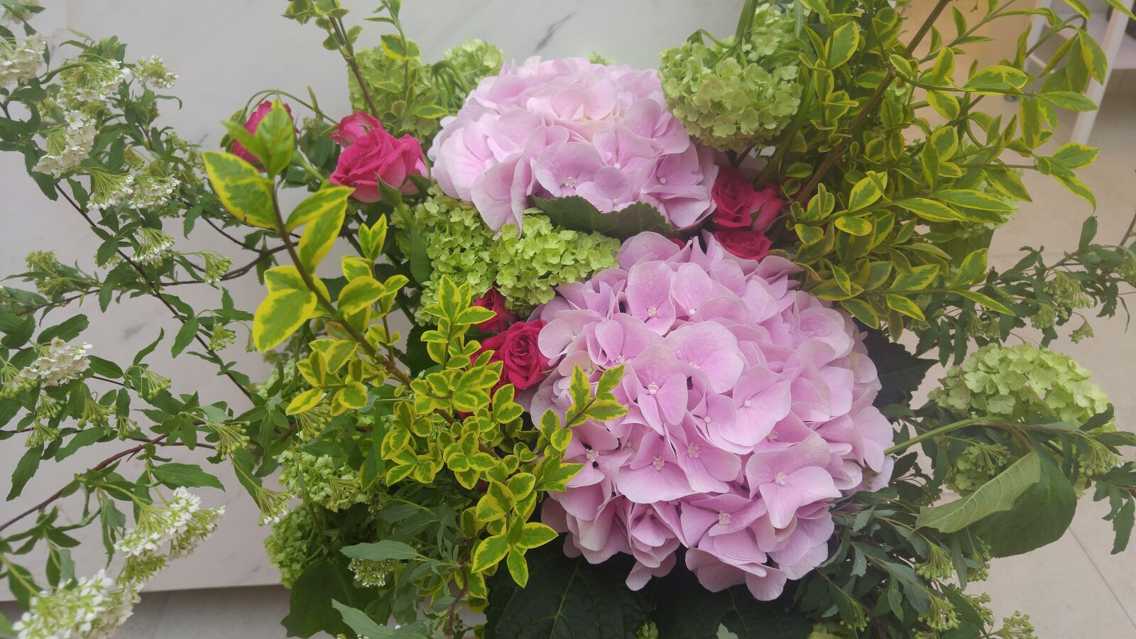 LG G4 sample photo. Hydrangea, ikebana, flower painting photography