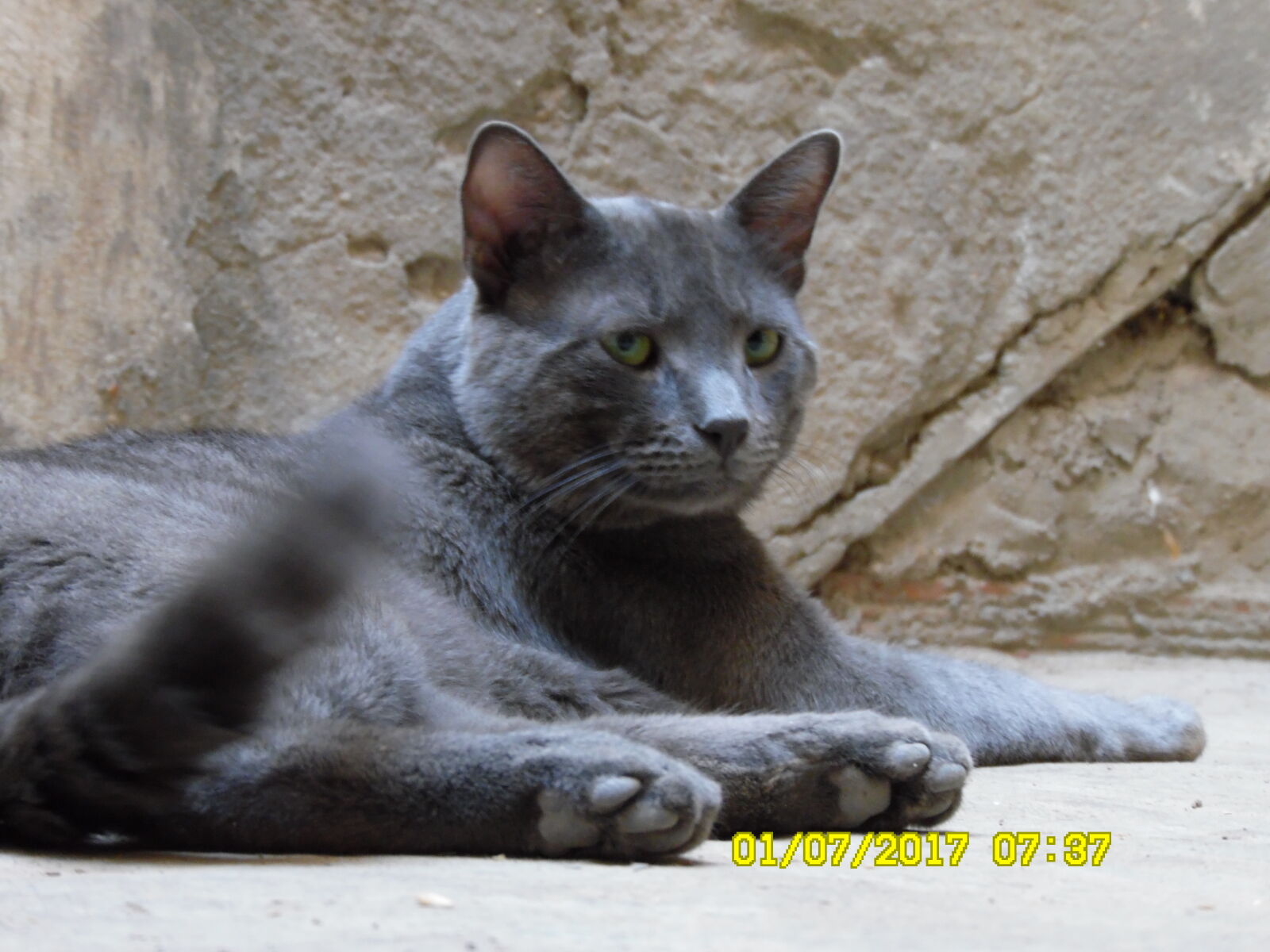 Samsung WB1100F/WB1101F/WB1102F sample photo