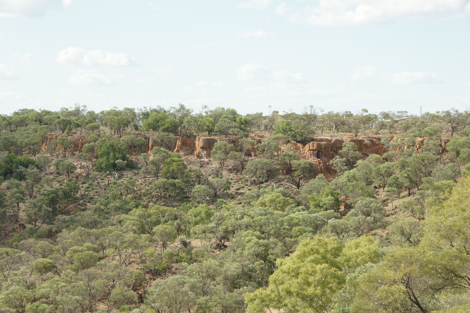 Sony Alpha DSLR-A700 sample photo. Queensland, outback, summer photography