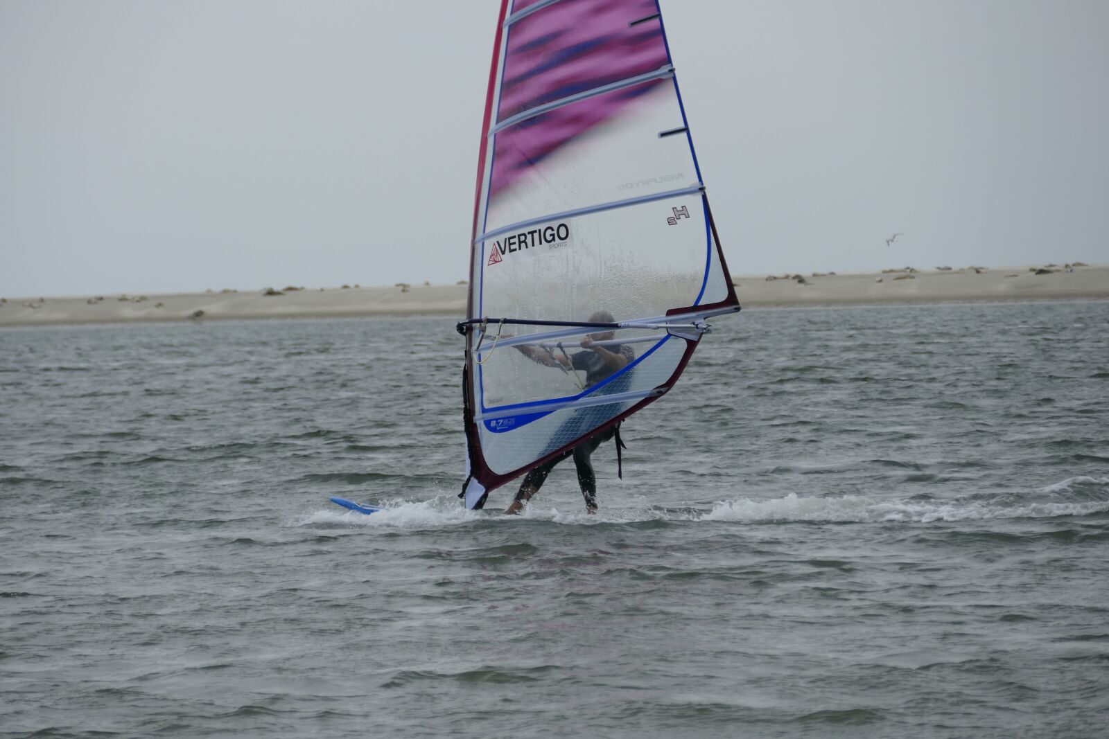 Panasonic Lumix DMC-FZ1000 sample photo. Surfer, borkum, north sea photography