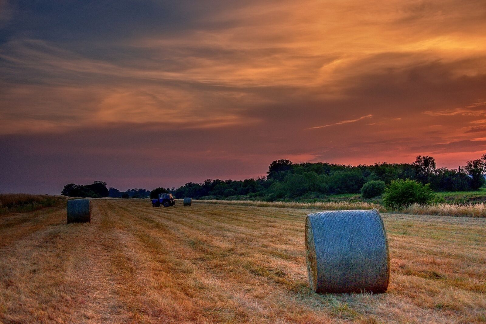 Nikon D5500 sample photo. Landscape, straw, field photography