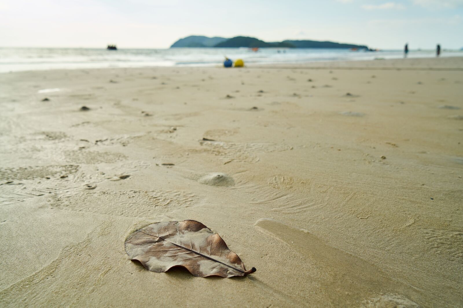 Sony a7R II sample photo. Beach, marine, nature photography