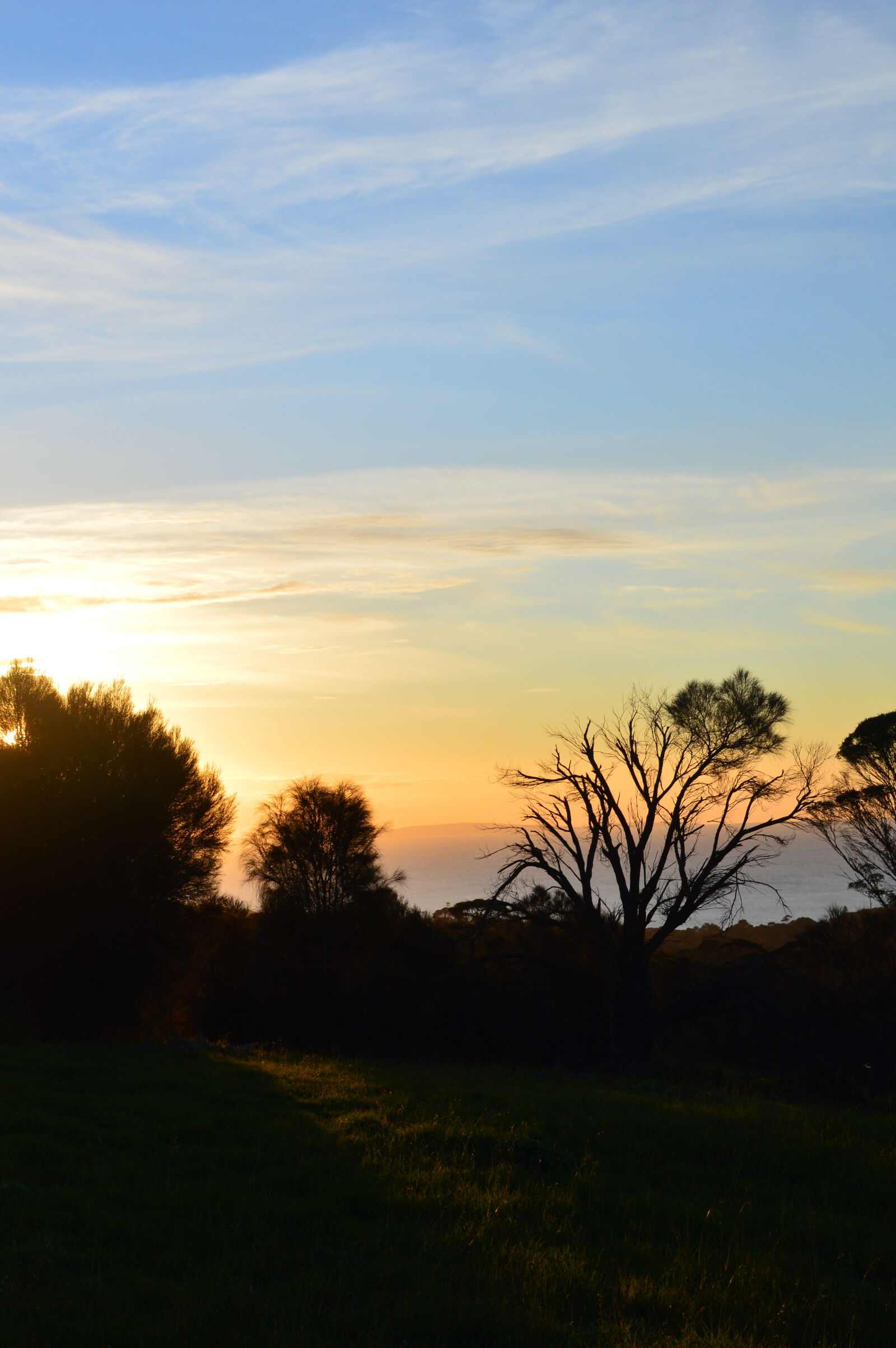 Nikon D3200 sample photo