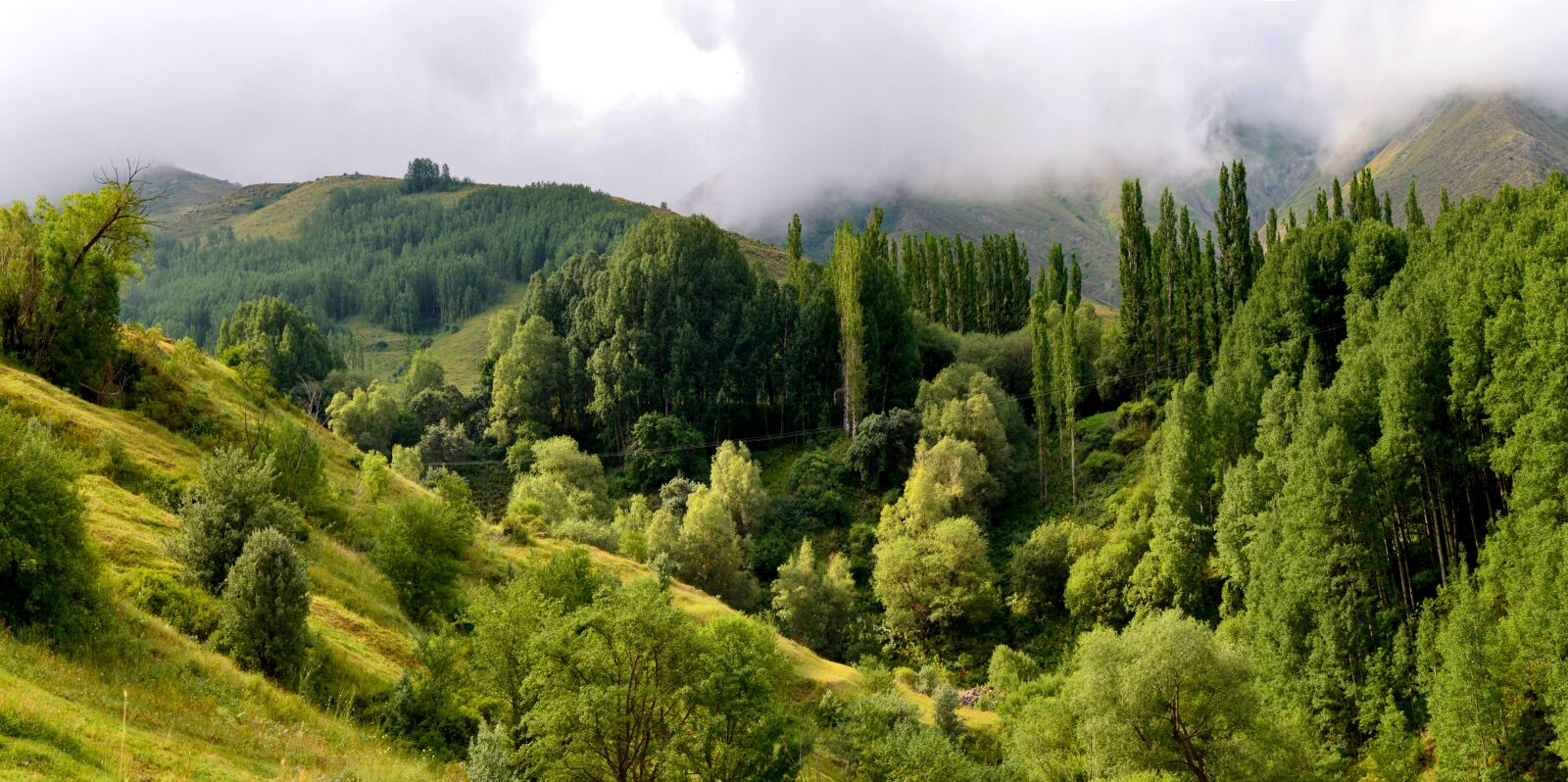 Nikon D5100 sample photo. Nature, landscape, kaçkars photography