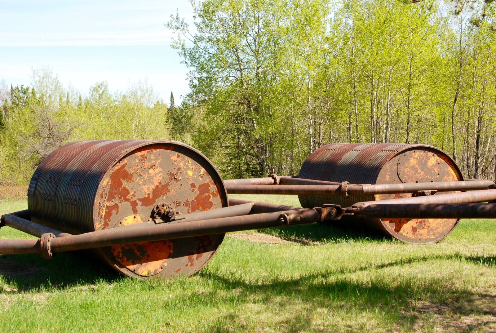 Nikon D80 sample photo. Roller, rust, machine photography