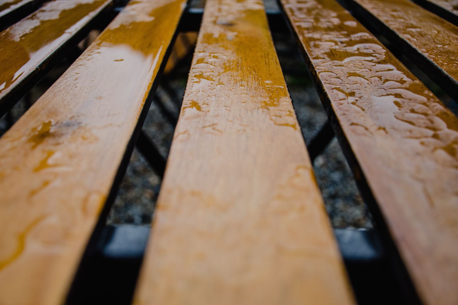 Nikon D7200 sample photo. Wood, rain, bench wood photography
