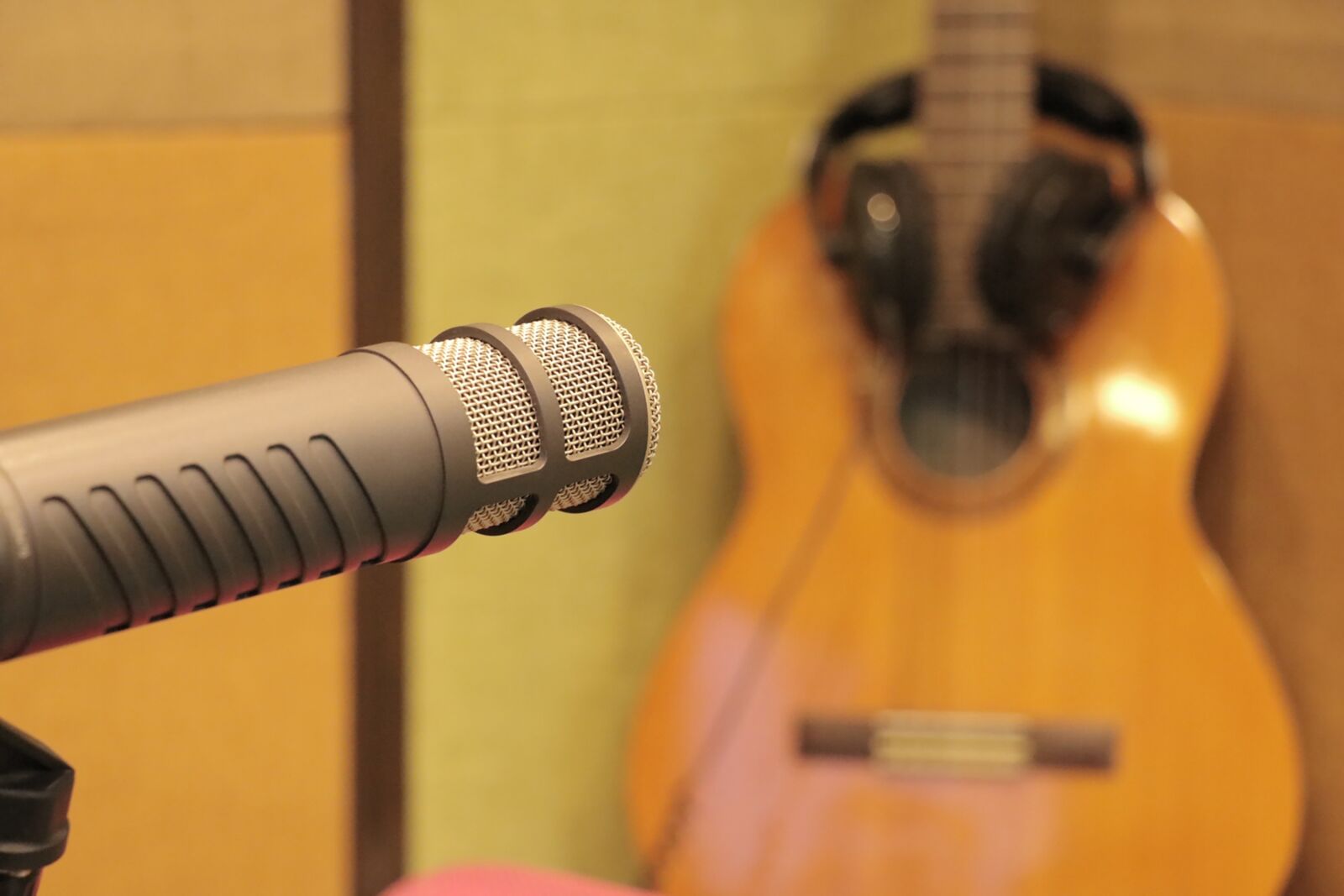 Canon EF-S 18-135mm F3.5-5.6 IS USM sample photo. Mic, microphone, dubbing photography