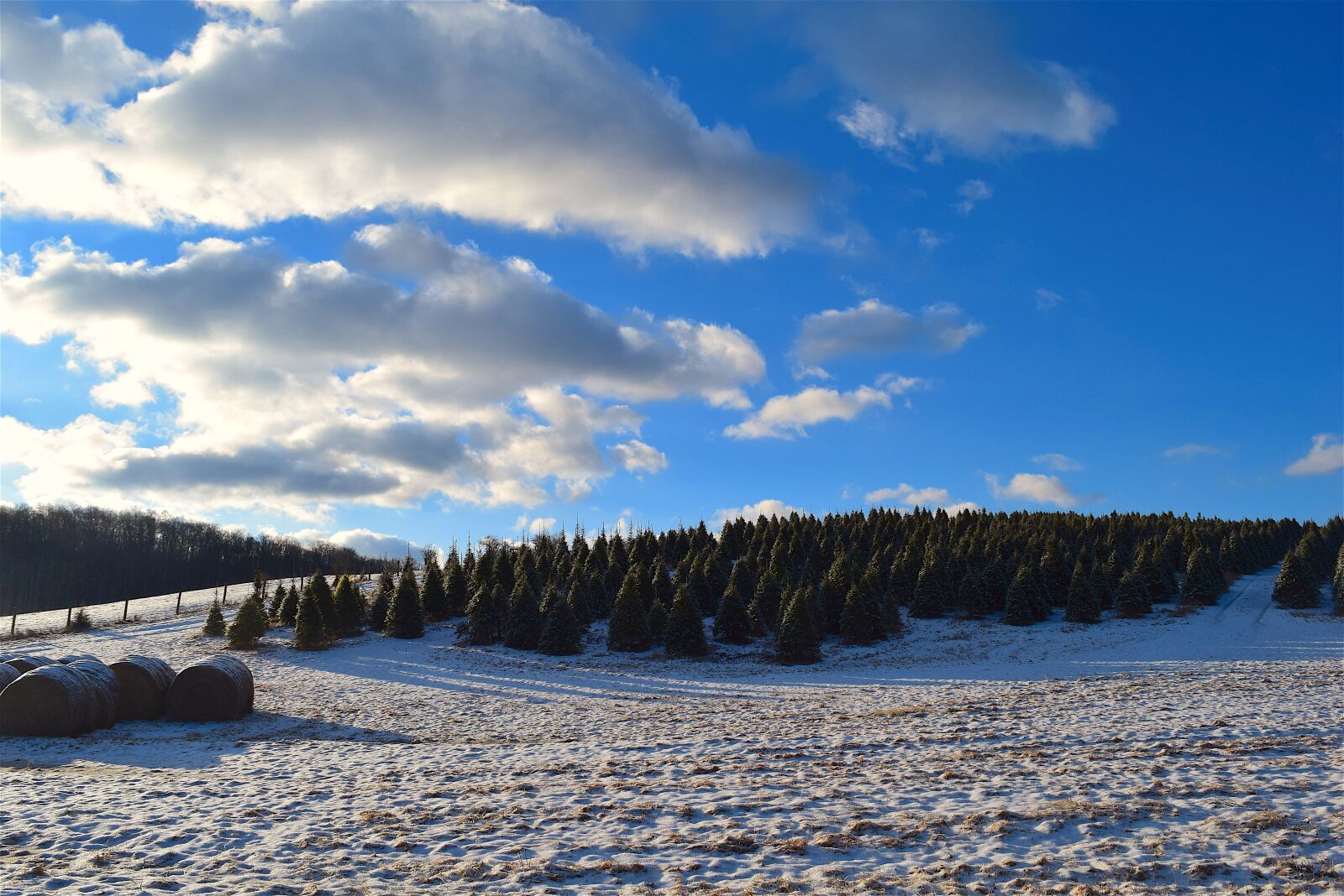 Nikon D3300 sample photo. Field, snow, winter photography