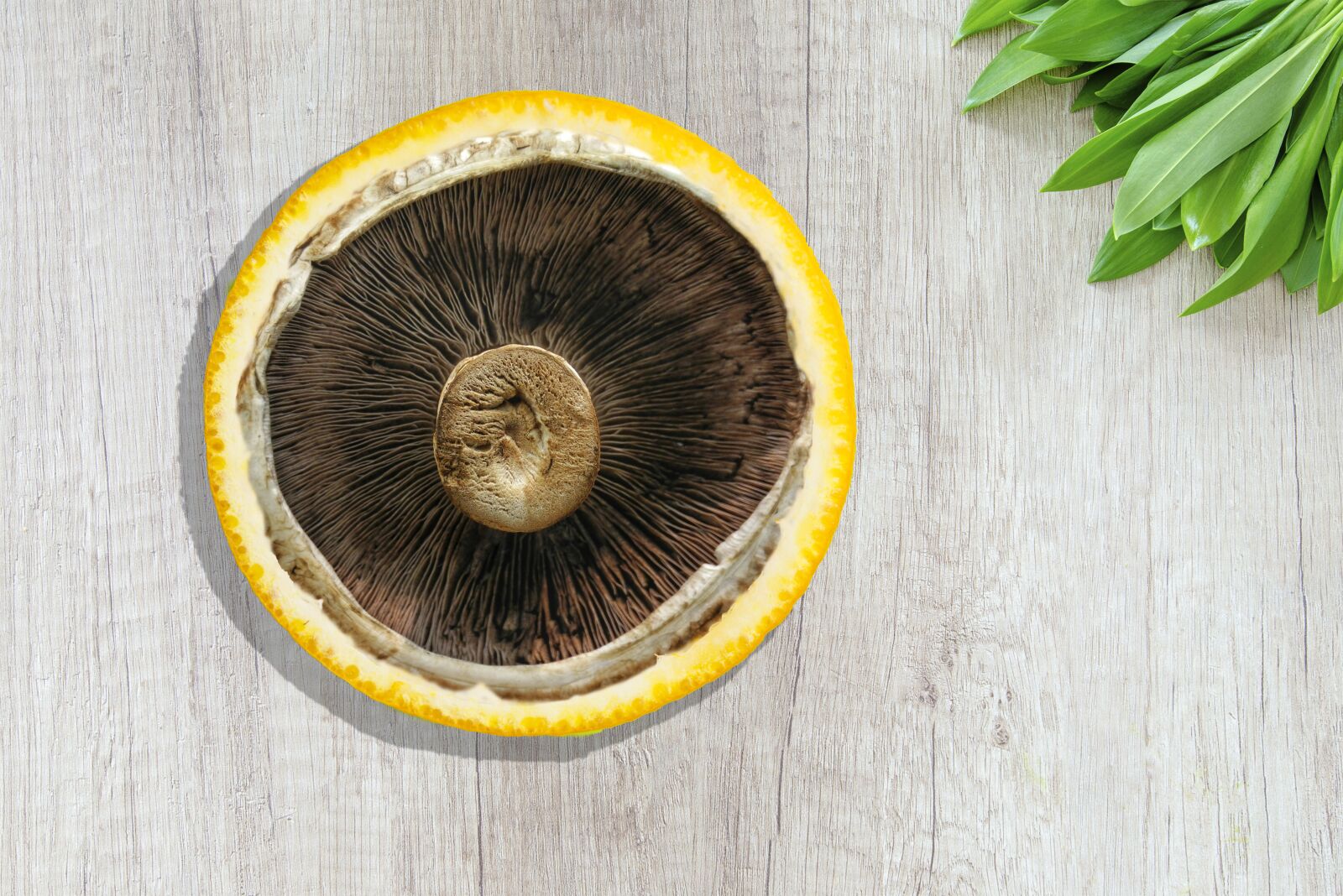 Nikon D800 sample photo. Orange, mushroom, table photography