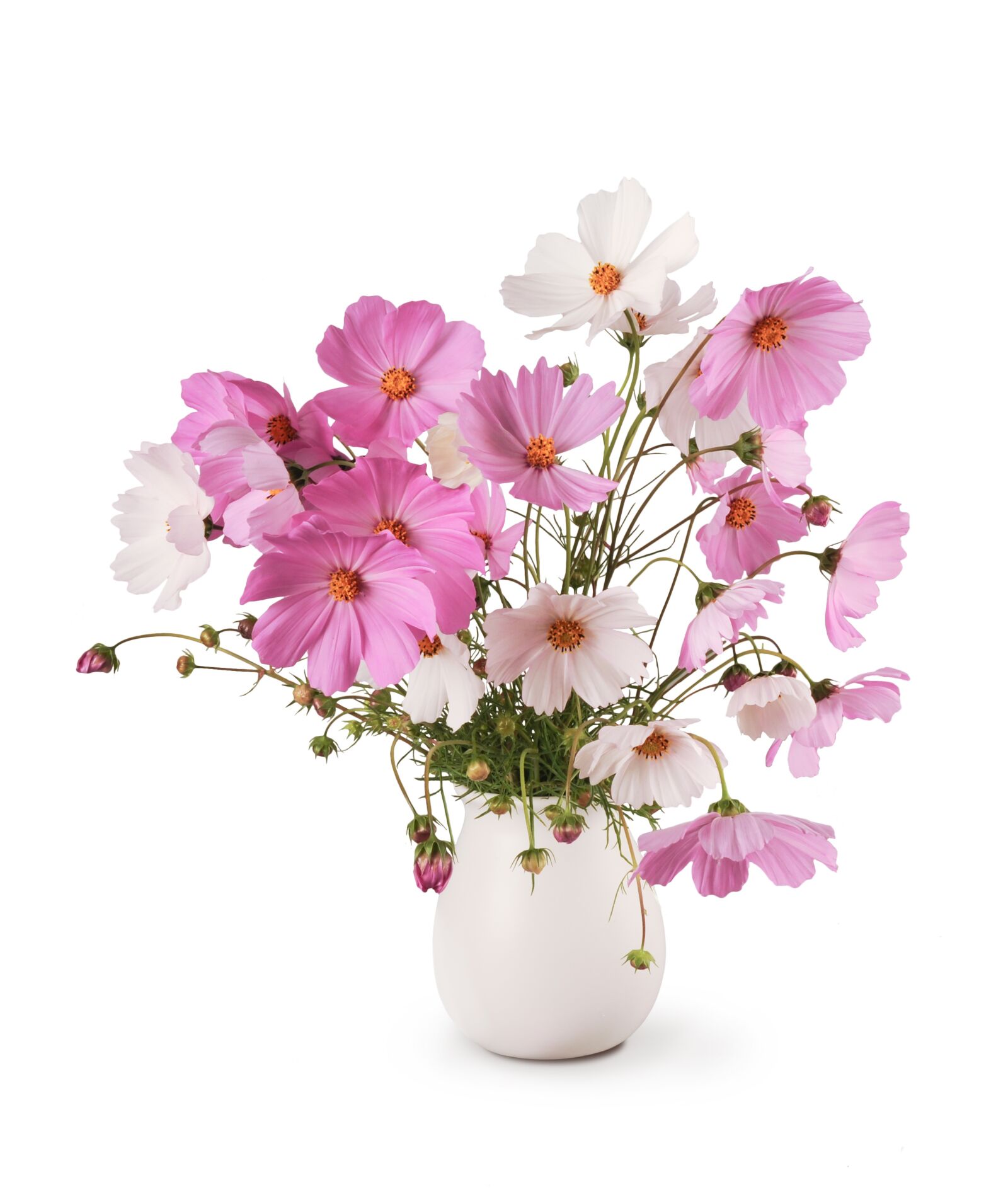 Nikon D5000 sample photo. Bouquet, white, cosmea photography