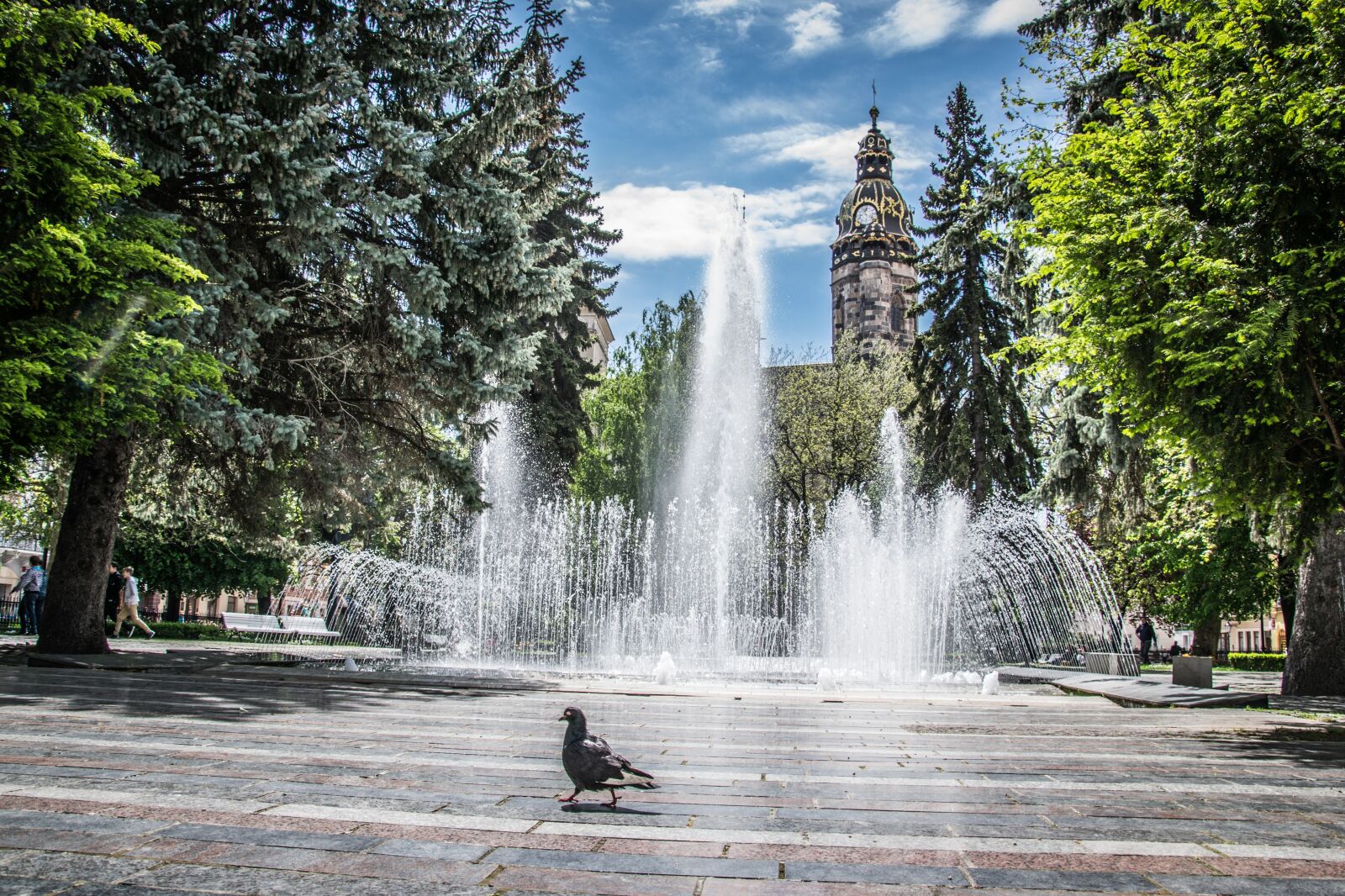 Nikon D5300 sample photo. Kosice, geyser, square photography