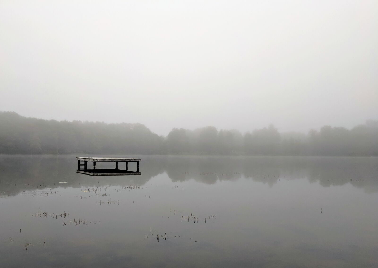 Google Pixel sample photo. Water, fog, lake photography
